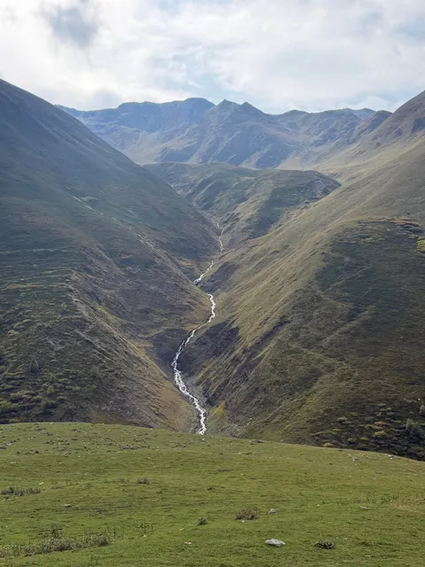 Went hiking in Georgia. Two strays joined us and hiked 25 mi and ~8k ft across 2 days with us.