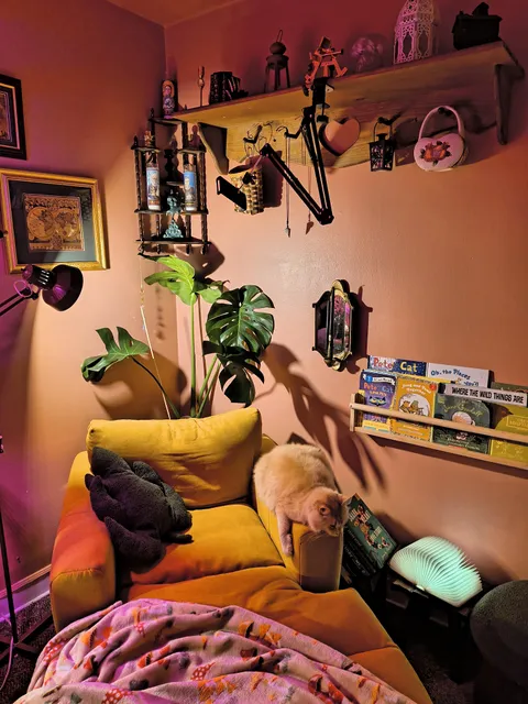 Finally have a reading corner for me and my 5yo (and my cat apparently)