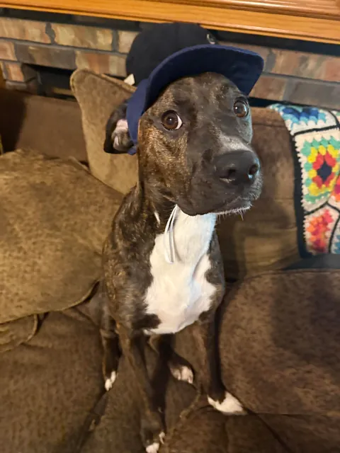 My mommy says I’m a very pretty girl