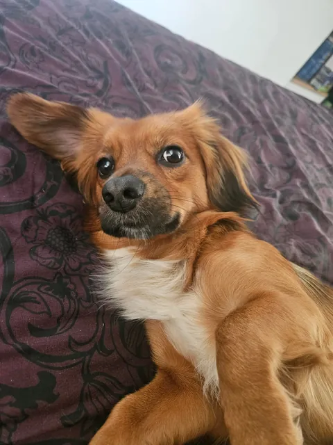 "Mother i need more attention"