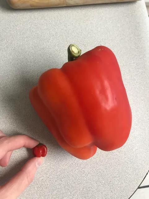 My 1st pepper vs. Store-bought 🥲