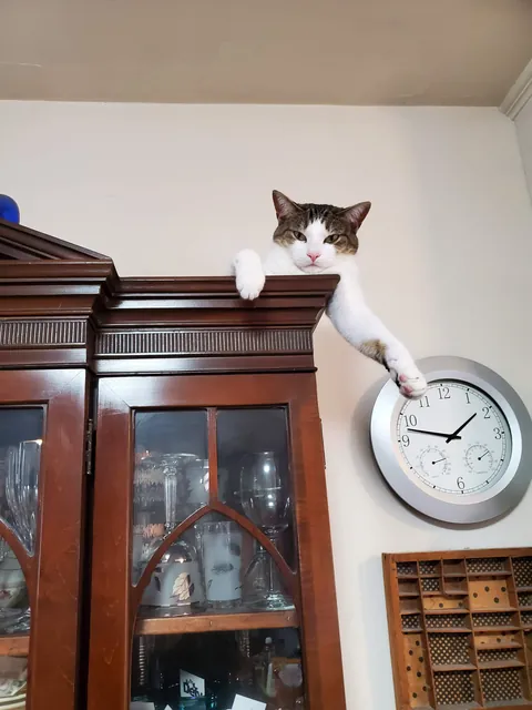 High atop the China cabinet