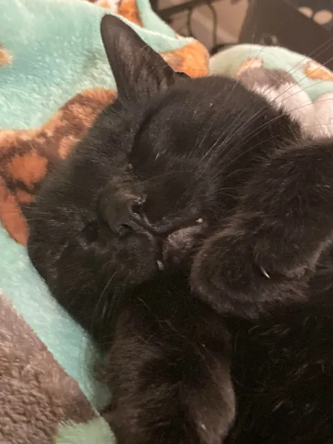 It’s taken me a while to make this post, but here is my sweet man Benjamin <3