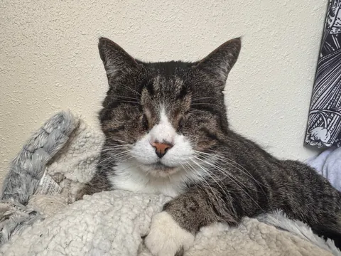 Sometimes it makes me really sad when I think about how long he was in a shelter.