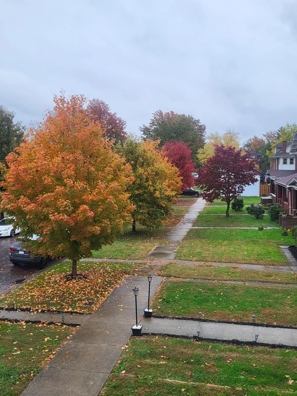 Cozy street on a rainy autumn day.