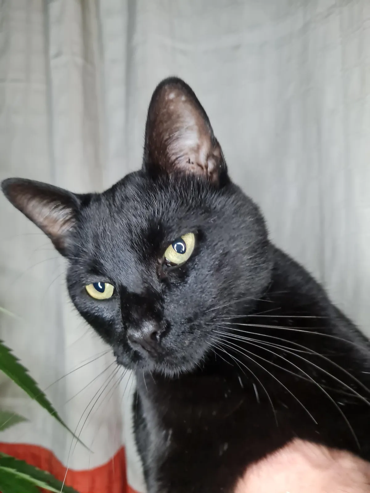 The love of my life. I have never loved anyone as much as I love my baby 😭💘