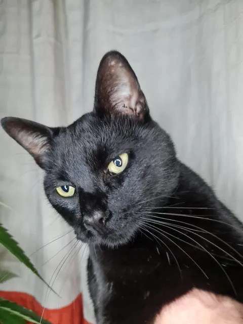 The love of my life. I have never loved anyone as much as I love my baby 😭💘