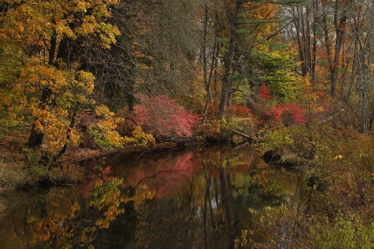Late Fall in Connecticut
