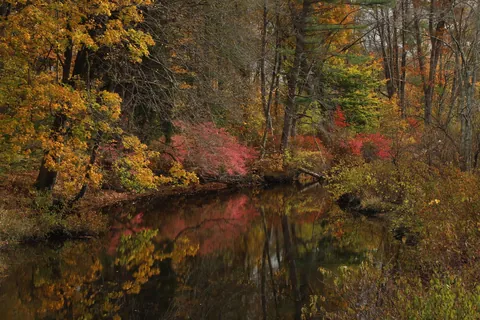 Late Fall in Connecticut