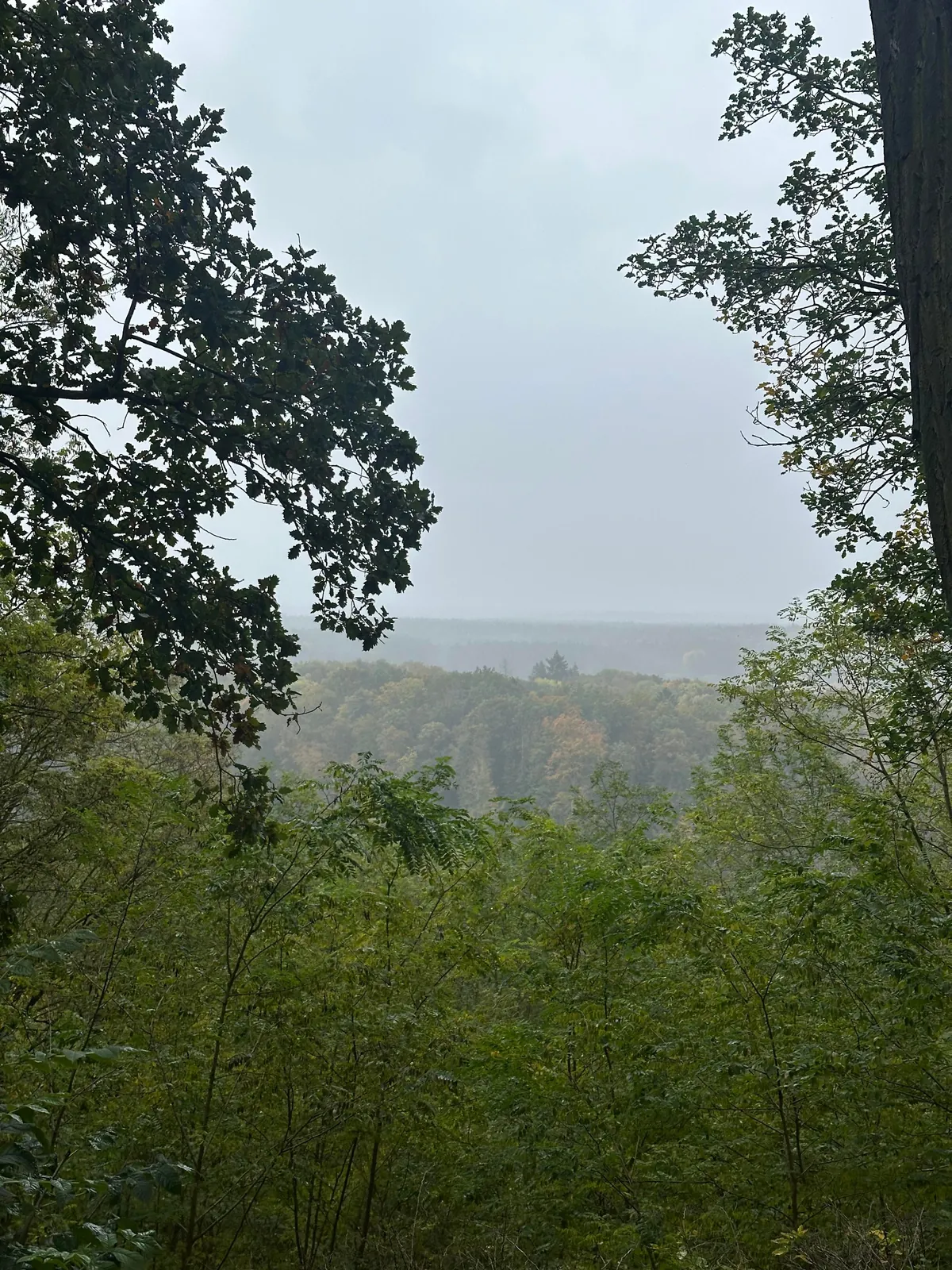 My 2 weeks in Germany, I would move to Berlin tomorrow!