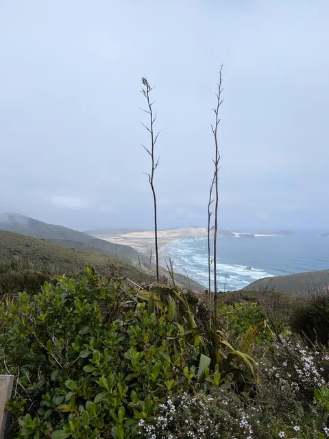 4.5 months in New Zealand