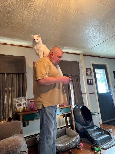 Big guys need big cats 🤣