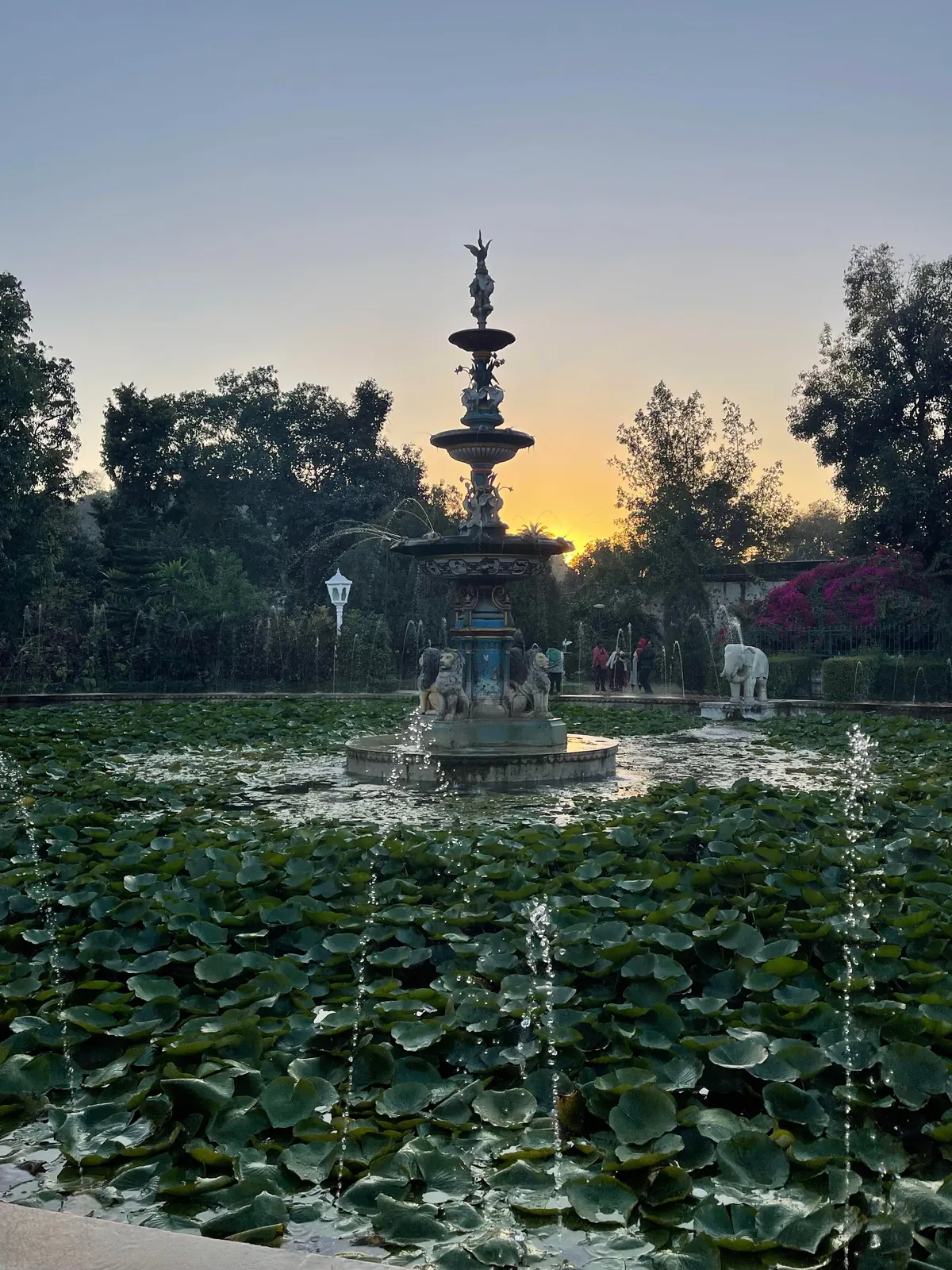 10 days in India. My first international trip!