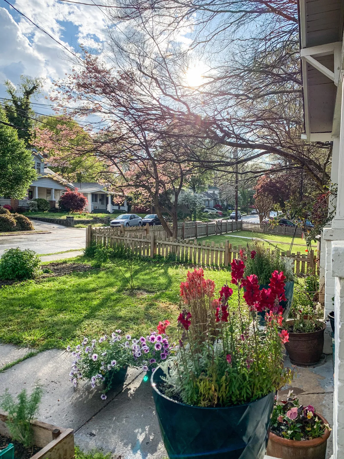 The view from my front porch today