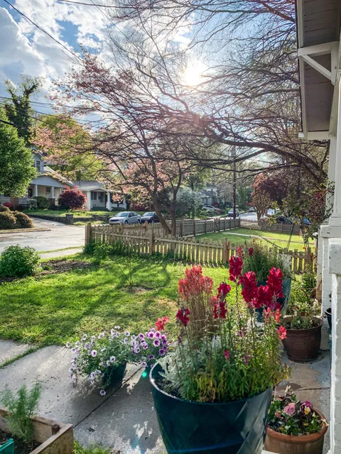 The view from my front porch today