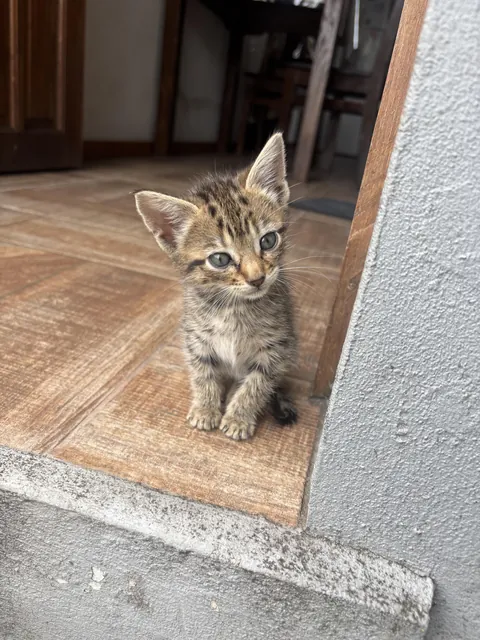 This little face just melted my heart 🥺