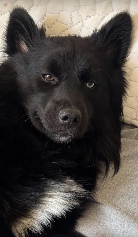 Quite the shocking text to get in the middle of a work meeting… Look at that smug face!