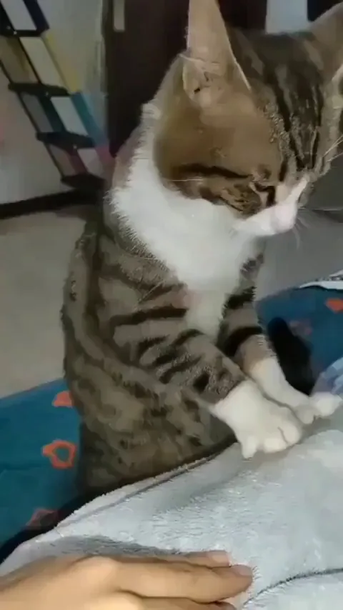 Pissed off Chiropractor