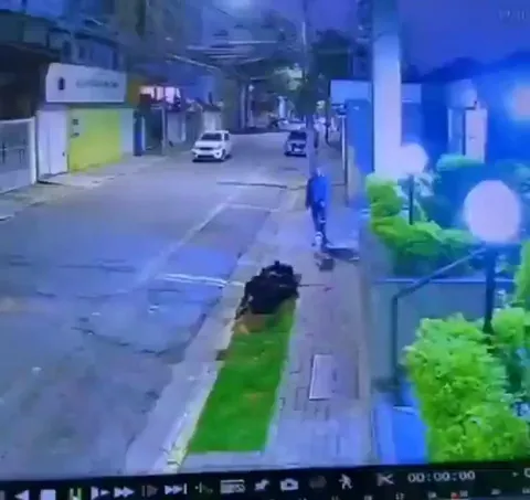 Dog protects man from muggers!