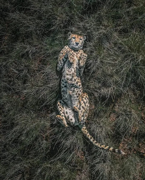 Photographers reveals hidden perspectives only visible from above