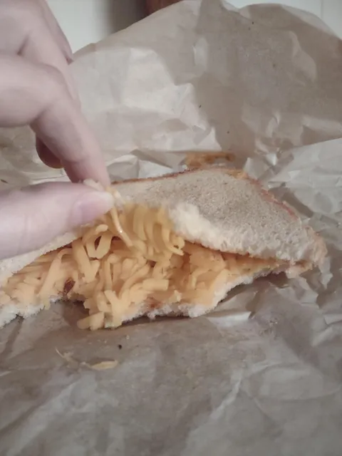 The "Grilled cheese Reuben" I spent $15 and and over an hour waiting for