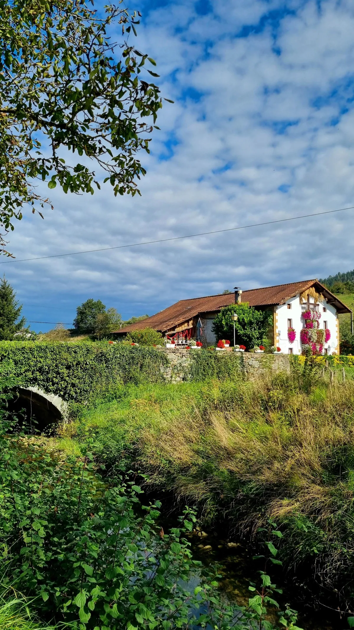 Walking the Camino from Irun to Bilbao