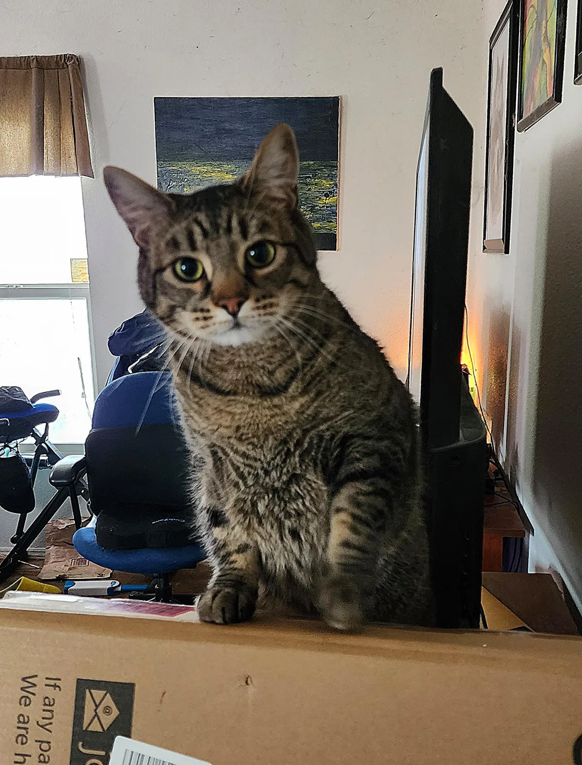 Miles O'Brien really wants to know what's in the box.