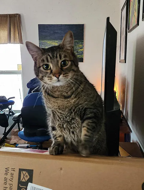 Miles O'Brien really wants to know what's in the box.