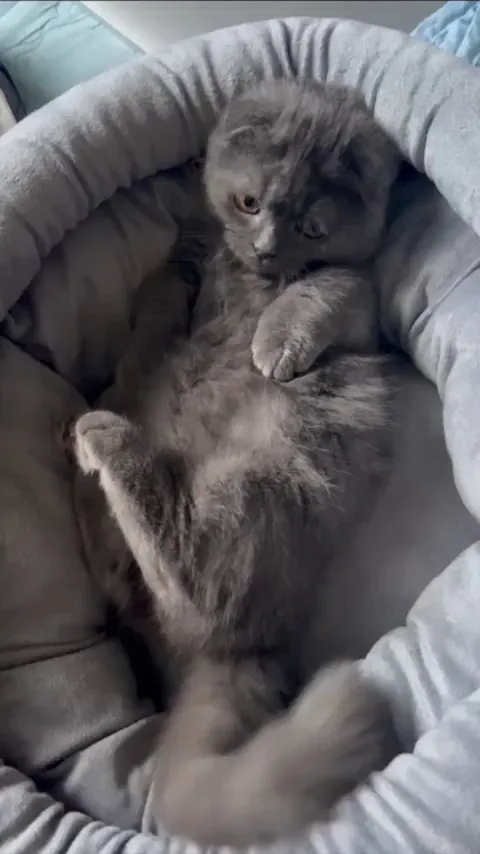 Someone gets a little playful before bedtime