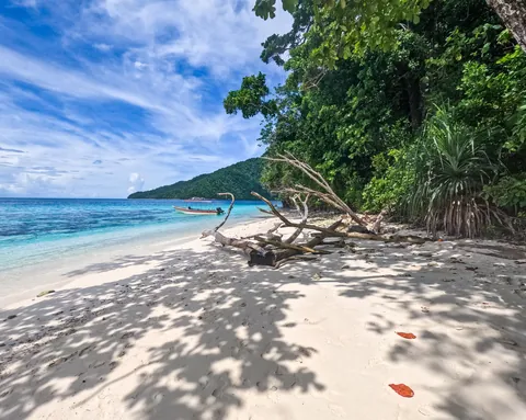 I returned to New Guinea, to a very remote atoll for a month long trip, living off the ocean.