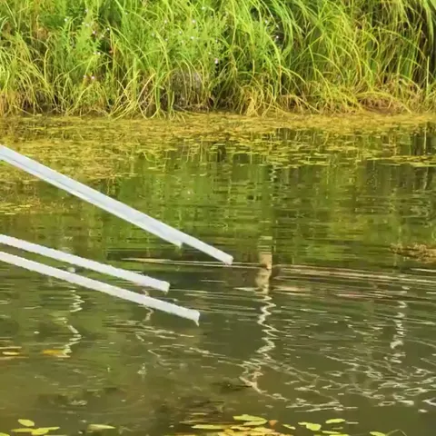 Building fish tower in a pond