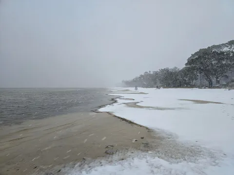 Where the snow meets the gulf of Mexico.