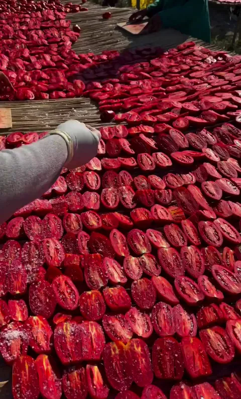 Sun-dried tomatoes