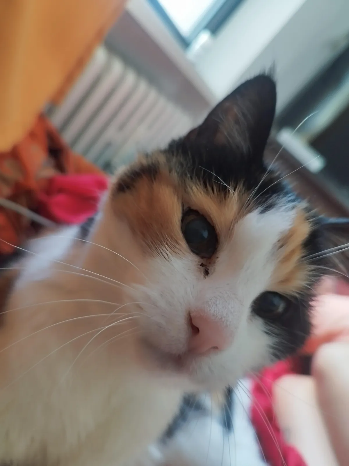 19 years and still looking fresh