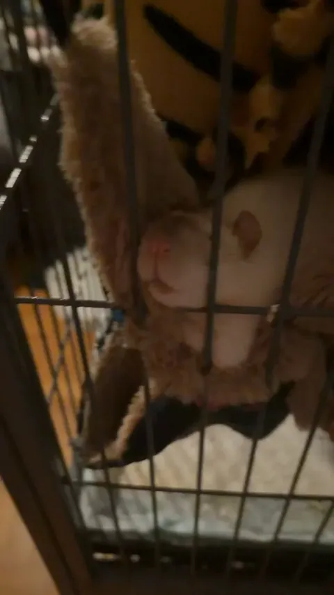 From sleeping to right awake