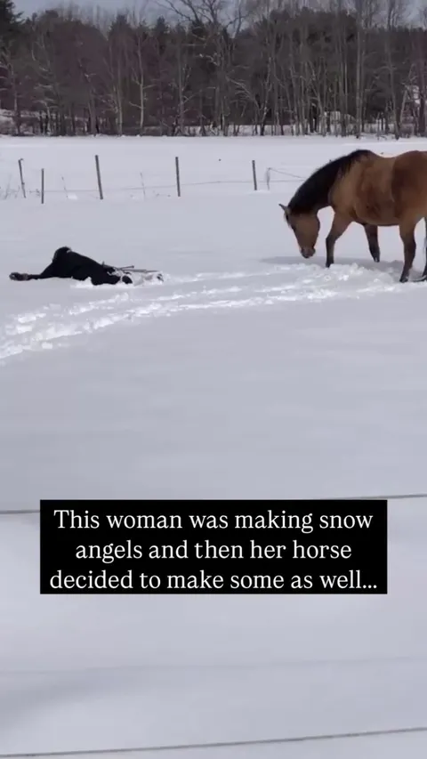 Horse really showed her how it's done 