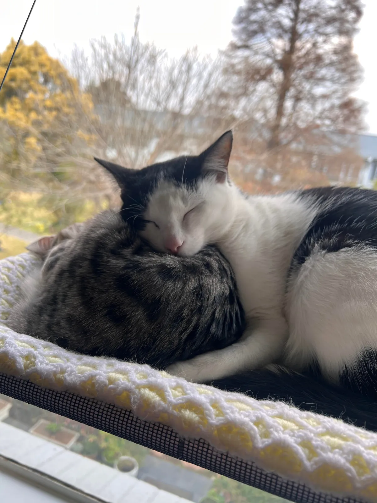 These guys have only known each other a few weeks