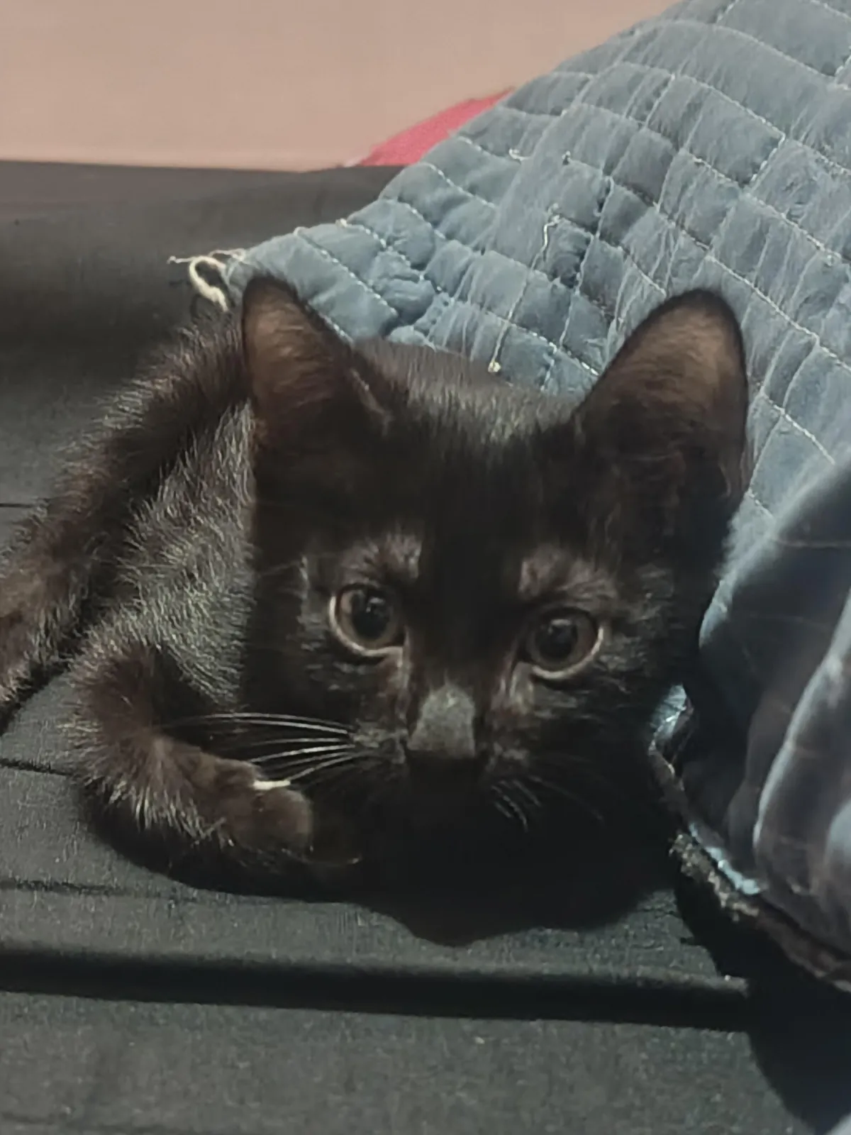 I just wanna flex my new baby