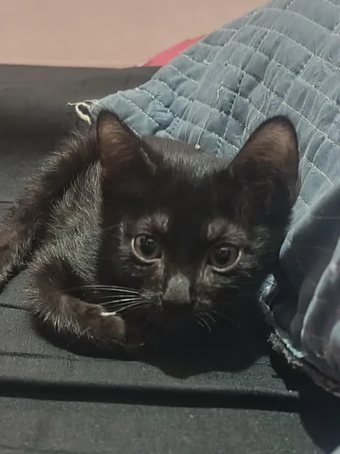 I just wanna flex my new baby