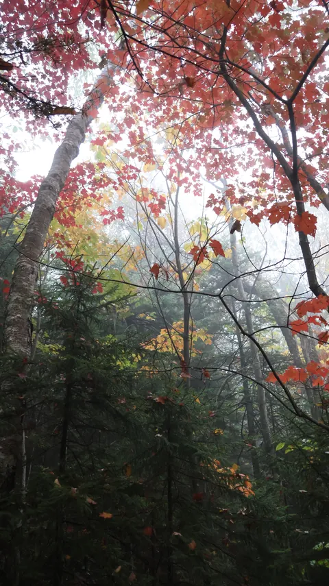 White Mountains, New Hamsphire, USA [OC] [3368x6000]