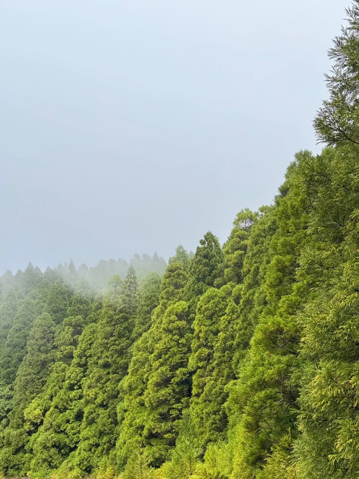 São Miguel, Azores (Portugal): A paradise for nature lovers