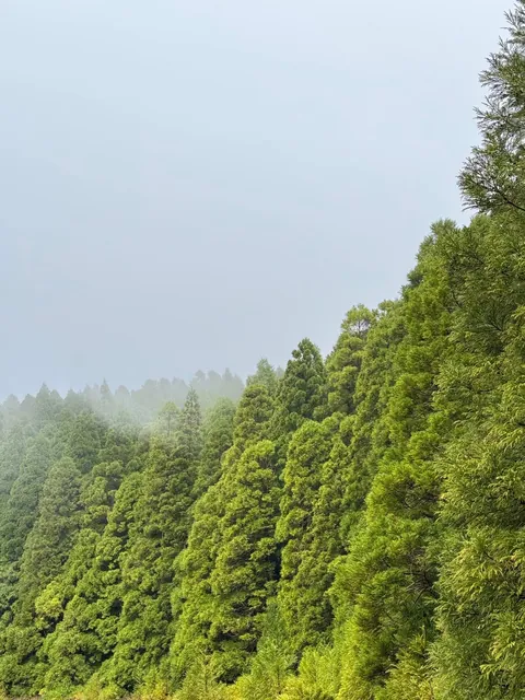 São Miguel, Azores (Portugal): A paradise for nature lovers
