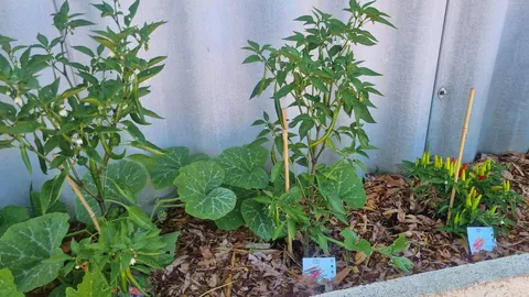 How it started vs how it's going