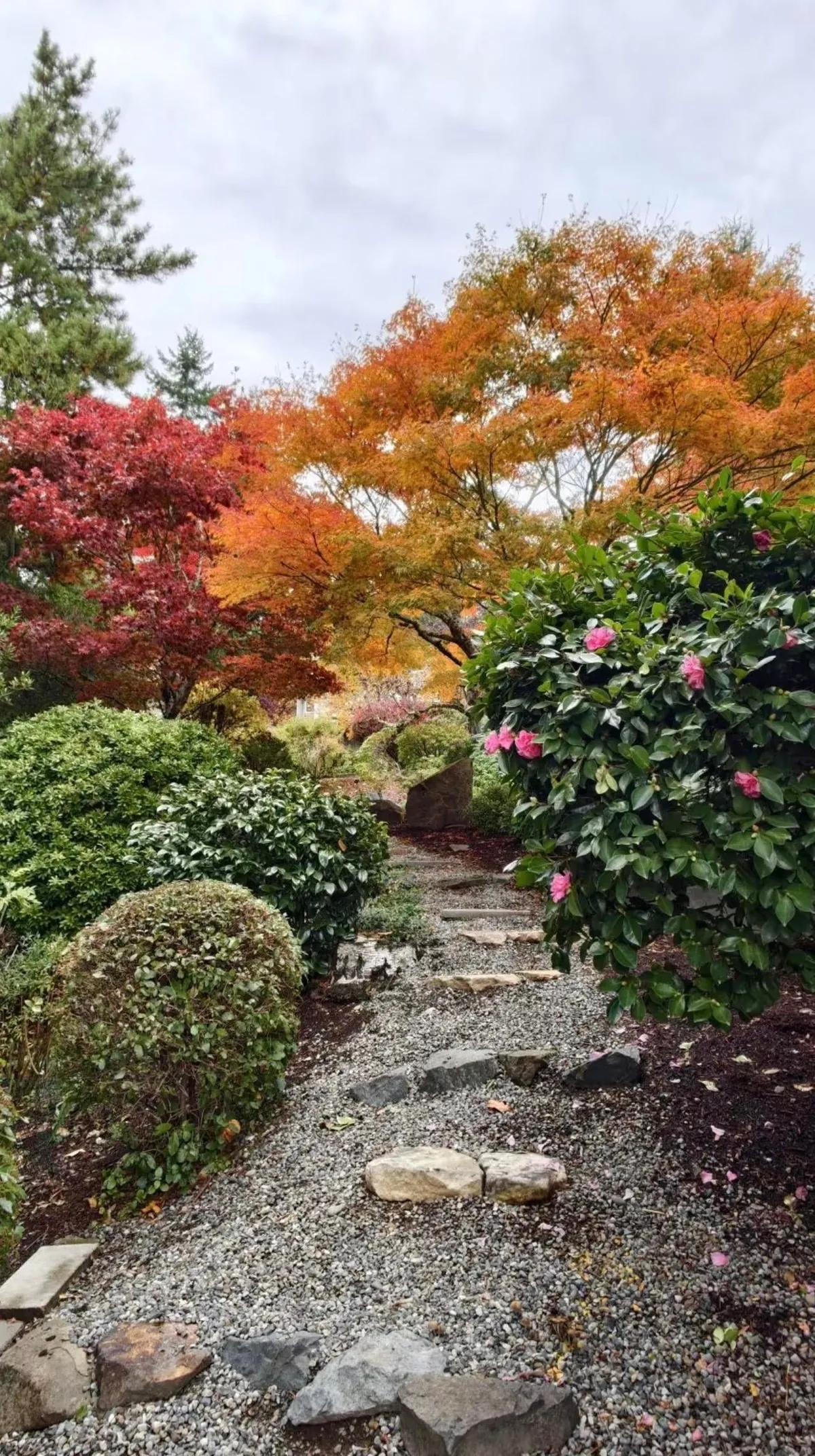 Visiting my friend’s garden feels like stepping into a fairytale.