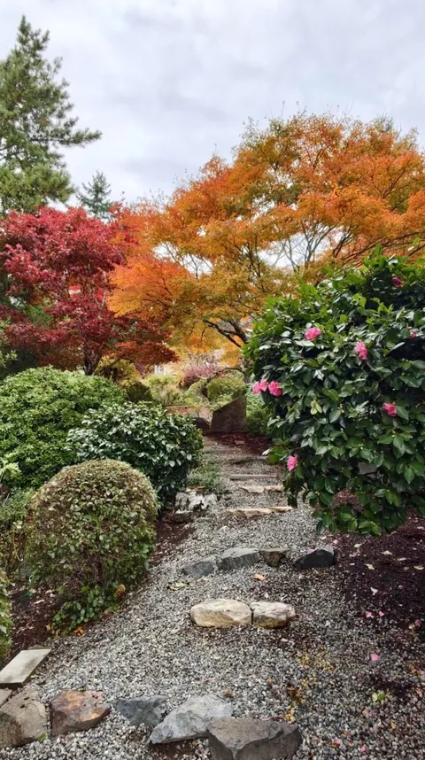 Visiting my friend’s garden feels like stepping into a fairytale.