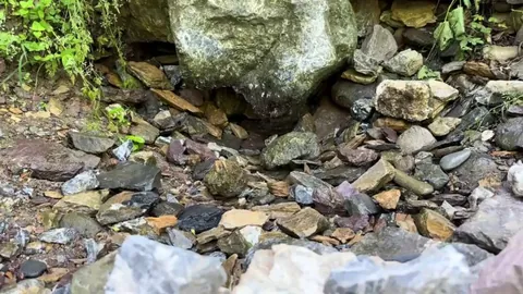 🔥This pristine natural spring pools up so flawlessly it looks like a computer render.