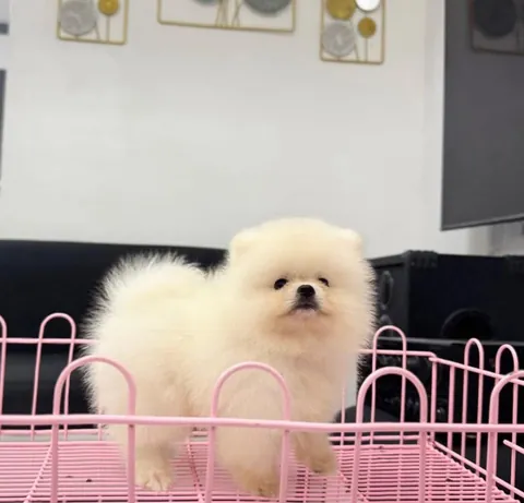 she a cutie standing like a baddie 🥰