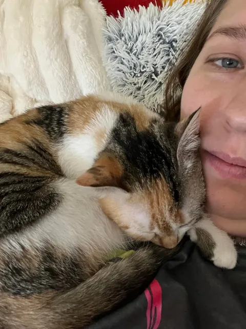 I lost my soul cat at just one year old, and I don’t know how to live with this pain