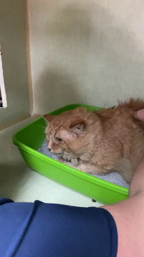 Update on Nicolas from our shelter. 