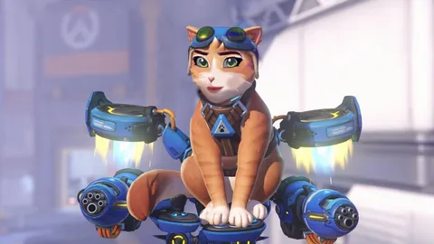 I fixed the Jetpack Cat's face